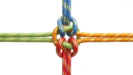 Das Symbolbild zeigt vier verschieden farbige Seile, die in der Mitte zu einem Knoten zusammenlaufen. 
